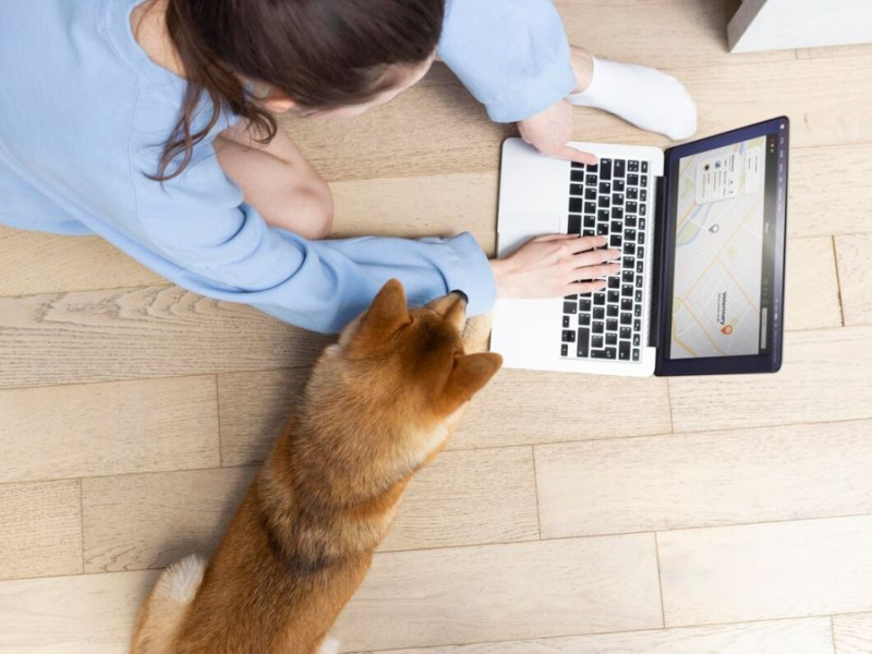 Gdzie Polacy szukają pracy w 2025 roku? Najnowsze trendy